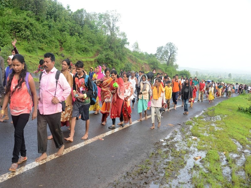  Brahmagiri reaches lakhs of devotees! | लाखो भाविकांची ब्रह्मगिरीला प्रदक्षिणा!