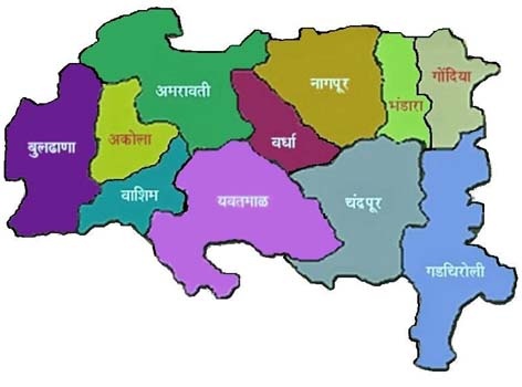 40 unions have assembled for the independent Vidarbha state | स्वतंत्र विदर्भ राज्यासाठी ४० संघटना एकवटल्या