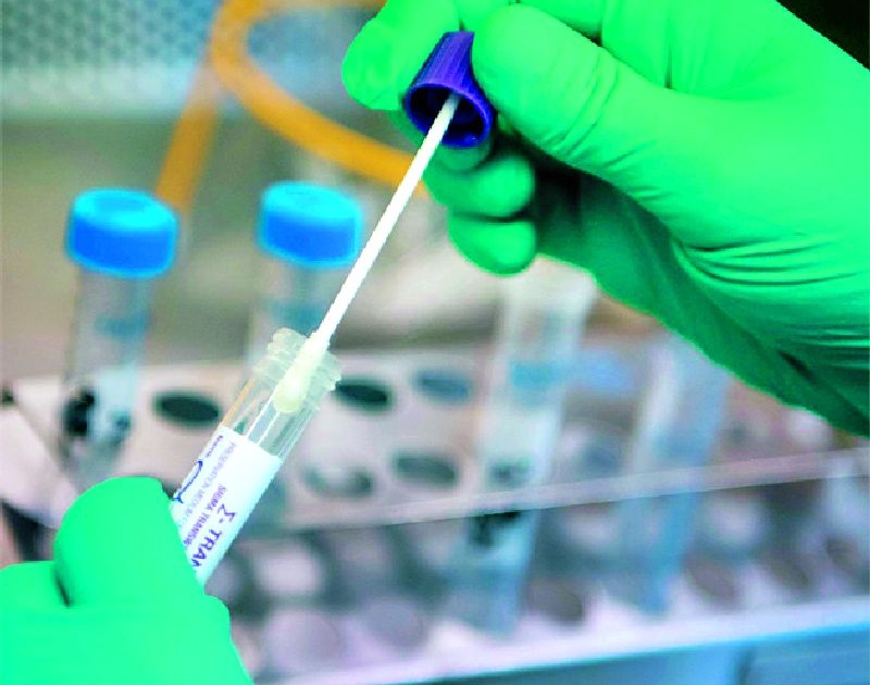 1,750 swabs were tested in Sevagram's laboratory | सेवाग्रामच्या प्रयोगशाळेत झाली १,७५० स्वॅबची तपासणी