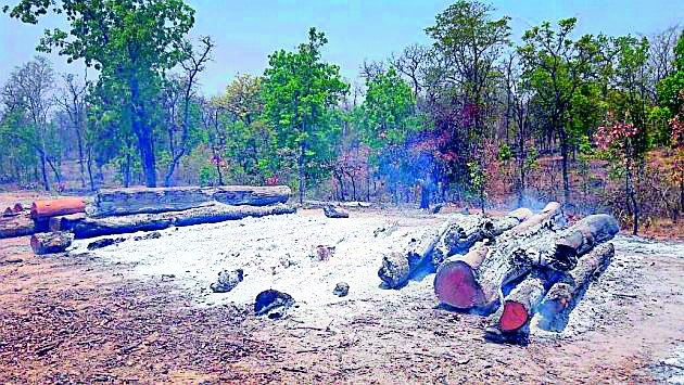 Naxalites burnt to the wood depot in Gondia district | नक्षलवाद्यांनी गोंदिया जिल्ह्यात जाळला लाकूड डेपो