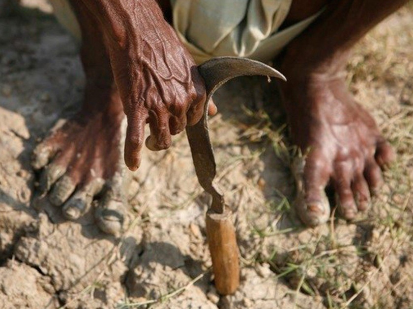 36,000 farmers of Gondia district has clean up Saatbara | गोंदिया जिल्ह्यातील ३६ हजार शेतकऱ्यांचा सातबारा झाला कोरा