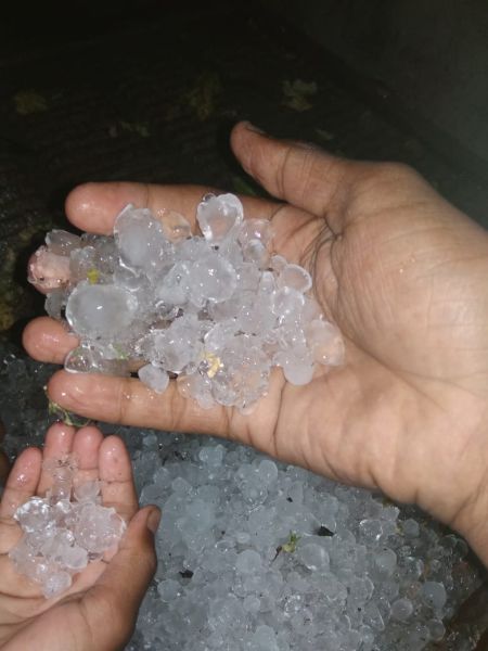 Hailstorms with heavy rainfall in Yavatmal district | यवतमाळ जिल्ह्यात वादळी पावसासह गारांचा वर्षाव