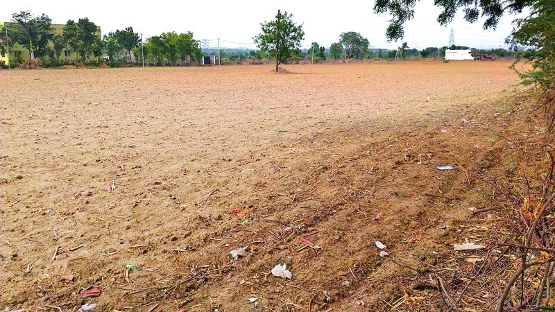Crisis against farmers in Nagpur district | धूळ पेरणी फसल्याने नागपूर जिल्ह्यातील शेतकऱ्यांपुढे संकट