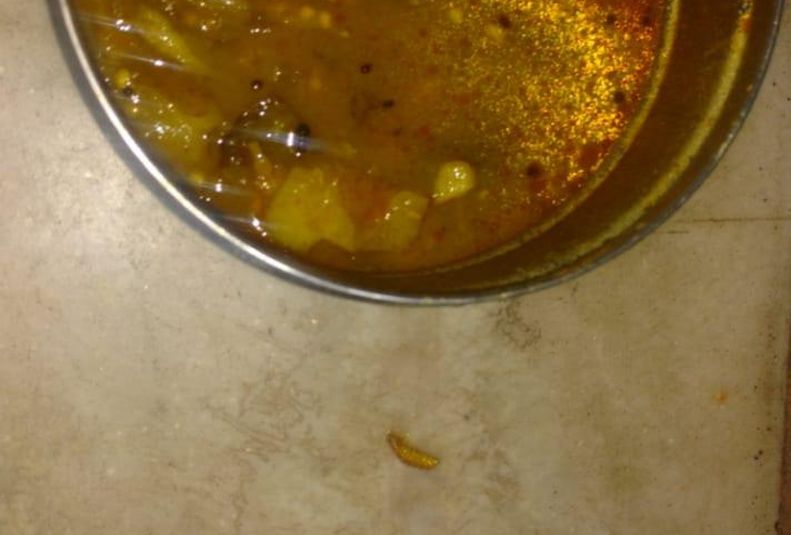 The larvae found in the diet of patients at the Sarvopchar Hospital Akola | सर्वोपचार रुग्णालयात रुग्णांच्या आहारात आढळल्या अळ्या