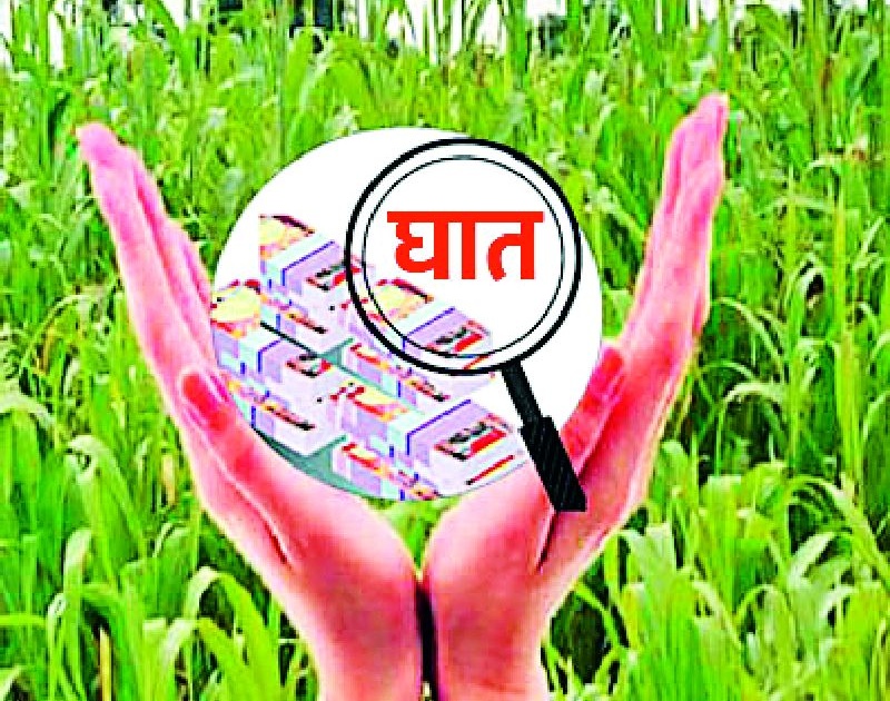 2.36 crores by crop insurance companies | पीक विमा कंपन्याद्वारे २.३६ कोटींचा डल्ला