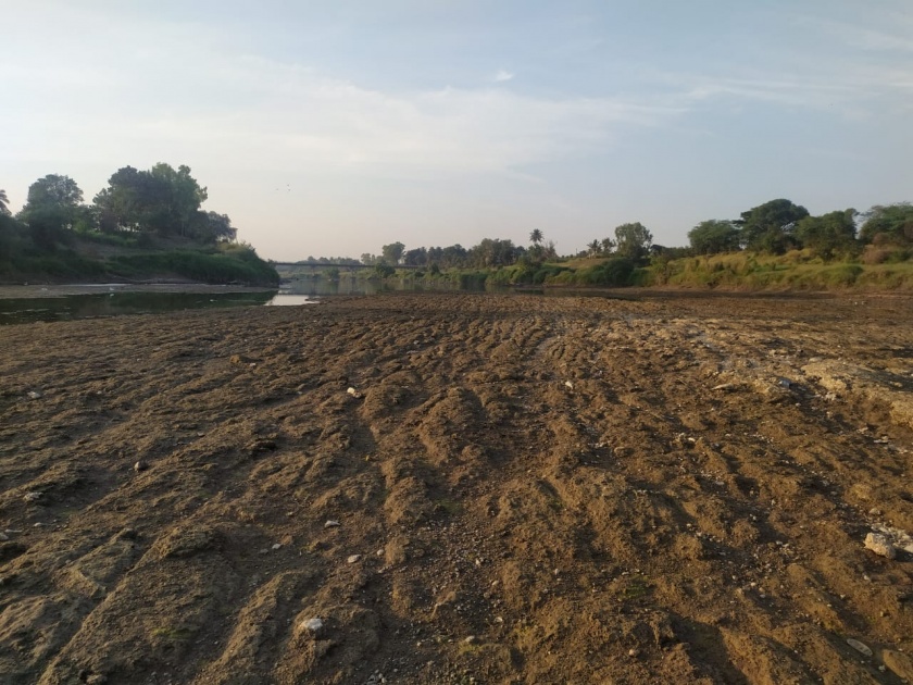 The Krishna River is dry | कृष्णा नदी कोरडी ठणठणीत, शेतीसमोर अडचणी