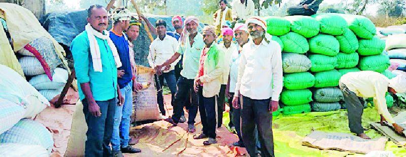 Purchase of 8 lakh quintals of paddy in the district | जिल्ह्यात ८ लाख क्विंटल धान खरेदी
