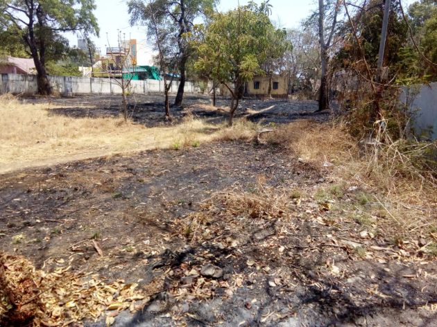 Buldana District Collector's bungalow fire; Home Stay Safe | बुलडाणा जिल्हाधिकाऱ्यांच्या बंगला परिसरात आग; निवासस्थान सुरक्षित