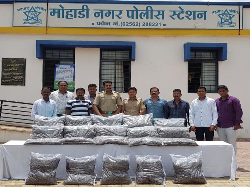 Five lakhs of ganja seized in Dhule, two arrested | धुळ्यात पाच लाखांचा गांजा जप्त, दोन अटकेत