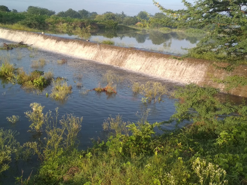 The dams in the Pangri area are overflowing | पांगरी परिसरातील बंधारे तुडुंब
