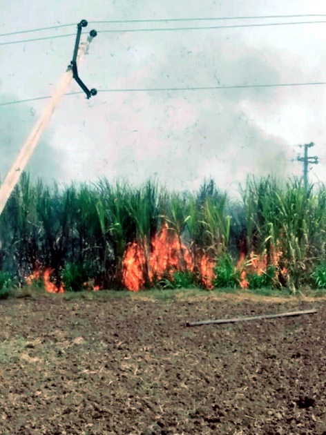 Parbhani: Sugarcane burnt to two farmers | परभणी : दोन शेतकऱ्यांचा जळाला ऊस