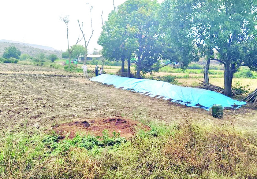  Damage of crops including pomegranate, kalingada to Chapadgaon | चापडगावला डाळिंब, कलिंगडासह पिकांचे नुकसान