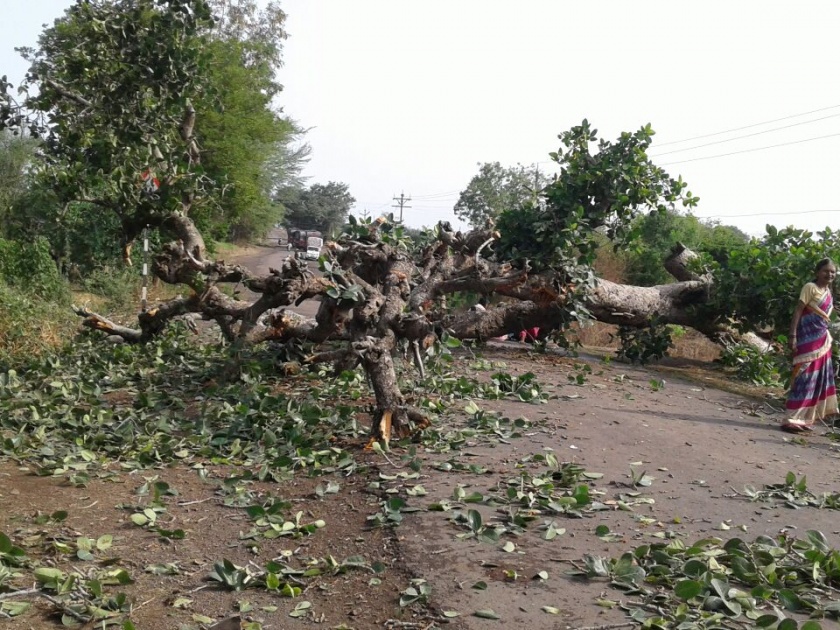 Satara: Aundh-Pussevali traffic jam after falling on the road | सातारा : वडाचे झाड रस्त्यावर पडल्याने औंध-पुसेसावळी वाहतूक ठप्प