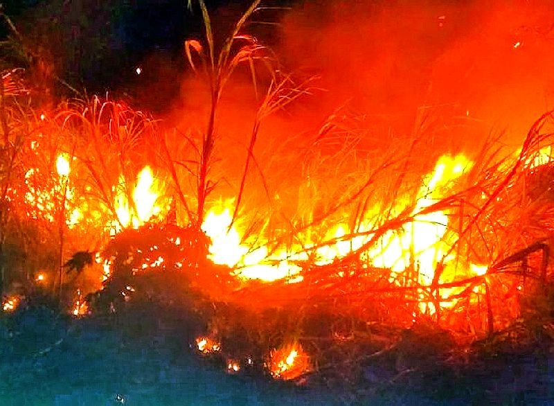 Sugarcane fire in the field at Sindi | सिंदी येथे शेतातील ऊसाला आग