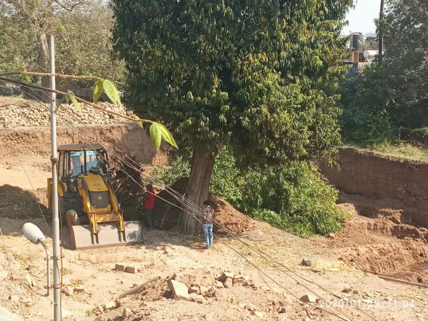 Finally, the old tree in Peth, 3 years ago, was cut down | अखेर जुना बुधवार पेठ येथील १०० वर्षांपूर्वीची ती झाडे तोडली