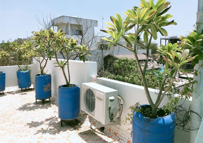 Control of temperature by placing 25 trees on the roof | छतावर चाफ्याची २५ झाडे लावून तापमानाचे नियंत्रण