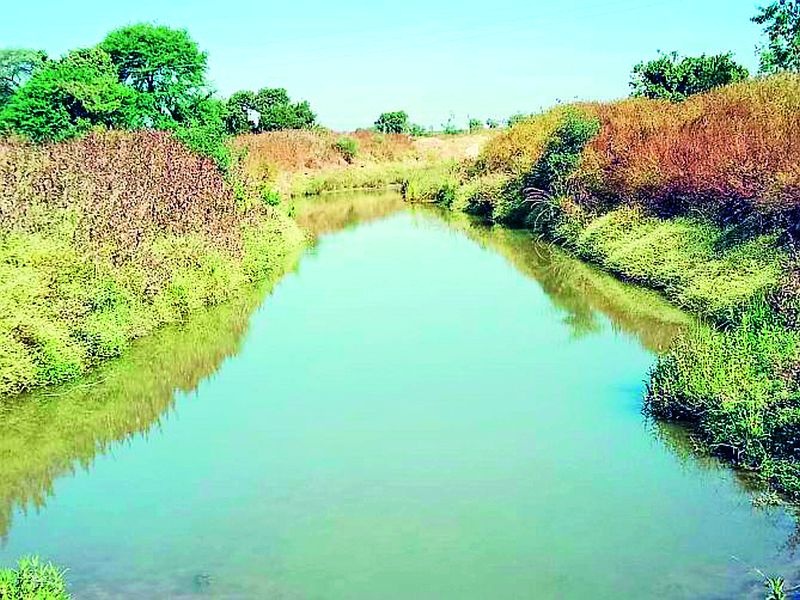 Irrigation of canal water in rivers and streams in Dhamangaon | कालव्याचे पाणी नदी-नाल्यांत धामणगावात सिंचनाचे तीनतेरा