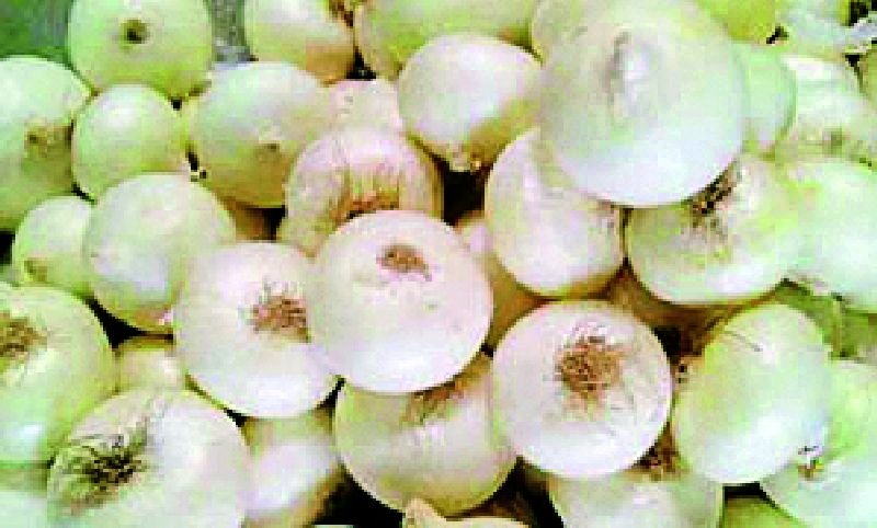 Hundreds of onions will reach Diwali | दिवाळीत कांदा गाठणार शंभरी