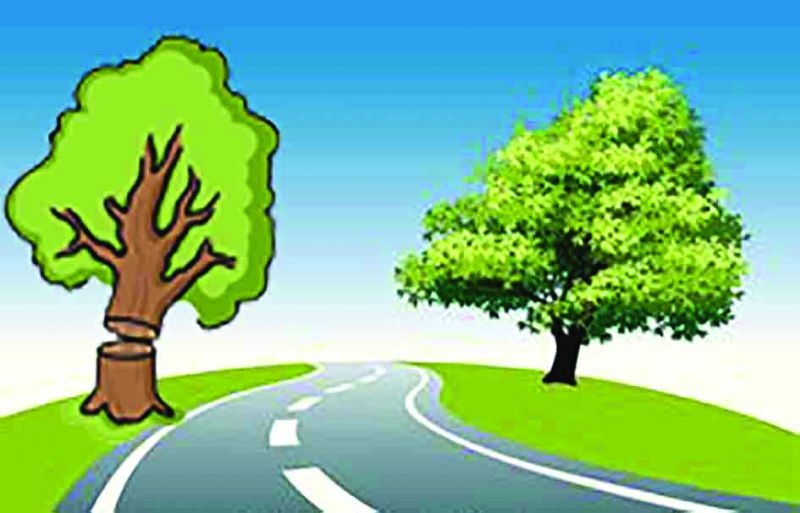 More 1200 tree will cut for road development | रस्त्यांच्या विकासात जाणार आणखी १२०० वृक्षांचा बळी