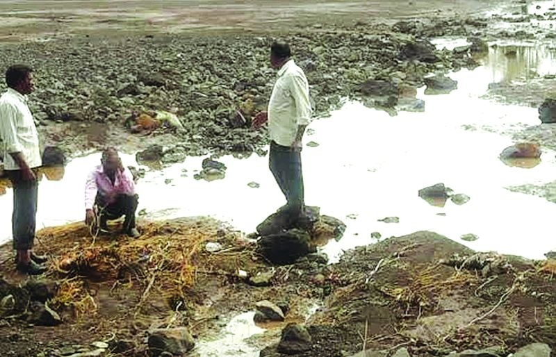 In the district of Buldhana, the land was scrapped by heavy rain | बुलडाणा जिल्ह्यात अतीपावसाने जमिनी खरडल्या