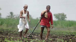 Disappointment of farmers ... | शेतकऱ्यांच्या पदरी निराशा...