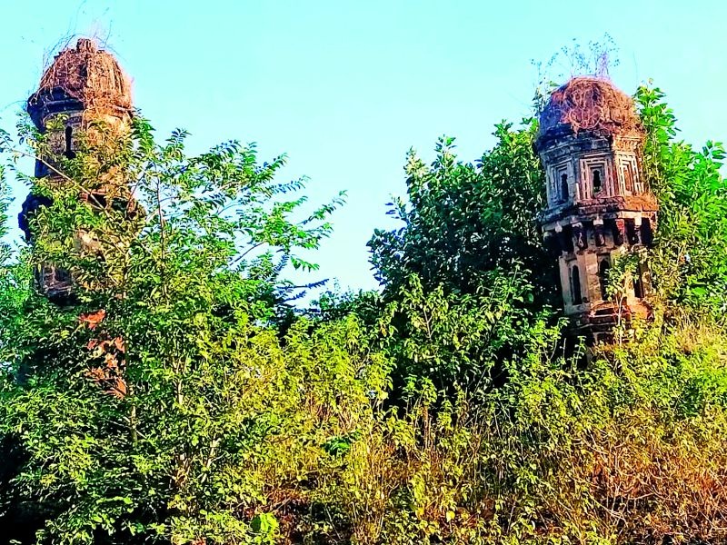Khasthahal of the fort at Vairagad, which bears witness to its splendor and history | वैभव व इतिहासाची साक्ष देणाऱ्या वैरागड येथील किल्ल्याचे खास्तहाल