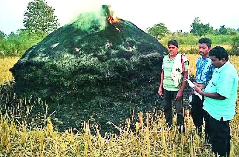Due to the burning of paddy | धान पुंजणे जळून खाक