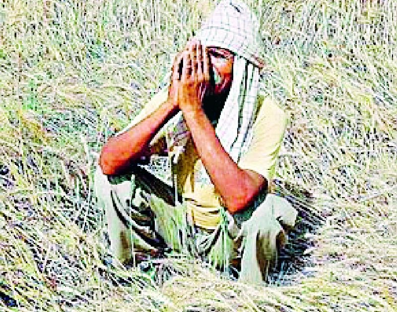 Seven thousand farmers who were affected were waiting for help | नुकसानग्रस्त सात हजार शेतकऱ्यांना मदतीची प्रतीक्षा