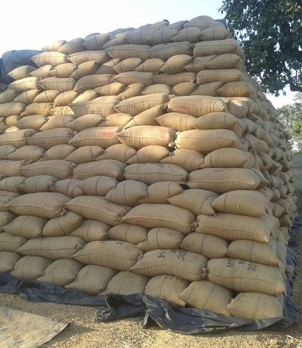 Paddy bags remains unsold in go downs in Gondia district | जुन्याची उचल होईना अन् नवीन खरेदी करता येईना !