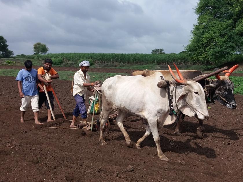 Farmers in the kharav area are busy working on sowing | खटाव परिसरातील शेतकरी पेरणी कामात व्यस्त