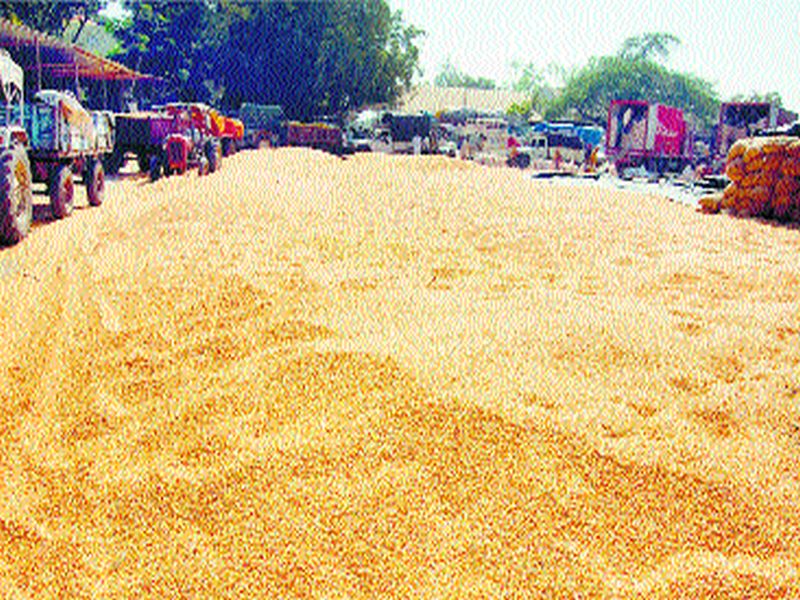 One day for the purchase: One lakh quintals of corn remaining to the government for extension | खरेदीसाठी एकच दिवस : शासनाकडे मुदतवाढ मागणार एक लाख क्विंटल मका शिल्लक