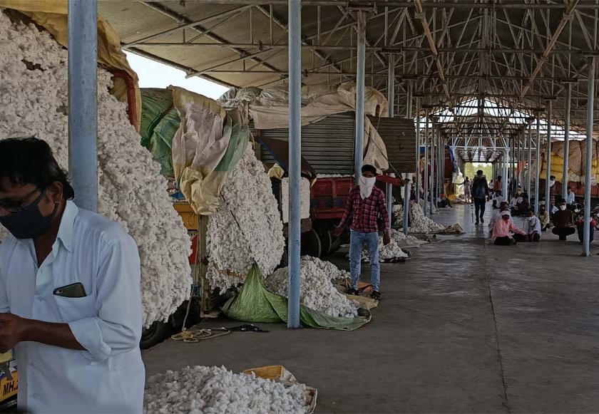 Three and a half thousand farmers fell without buying cotton | साडेतीन हजार शेतकऱ्यांचा कापूस खरेदीविना पडून