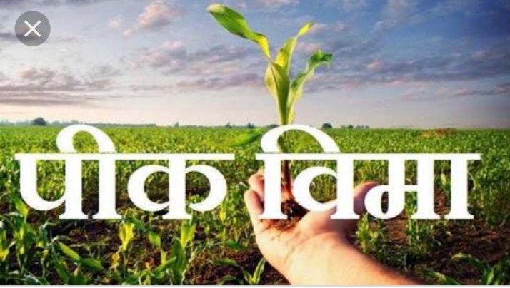 Farmers' response to crop insurance this year | यावर्षी पिक विम्यासाठी शेतकऱ्यांचा प्रतिसाद
