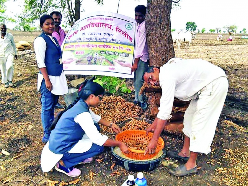 Agricultural Seed Processing, Planting Demonstration Campaign | कृषिकन्यांनी राबविली बीजप्रक्रिया, लागवड प्रात्यक्षिक मोहीम