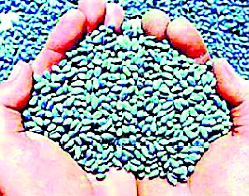 The price of seeds is double the price of soybeans | सोयाबीनच्या दरापेक्षा बियाण्यांची किंमत दुप्पट