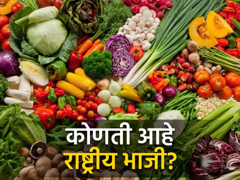Do you know the national vegetable of India? | भारताची राष्ट्रीय भाजी कोणती आहे? 90 टक्के लोकांना माहीत नसेल नाव...
