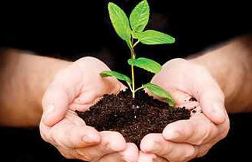 Now with the help of organizations, nine lakh trees have been planted | सामाजिक वनीकरण; आता संस्थांच्या मदतीने नऊ लाख वृक्षारोपणाचा केला संकल्प