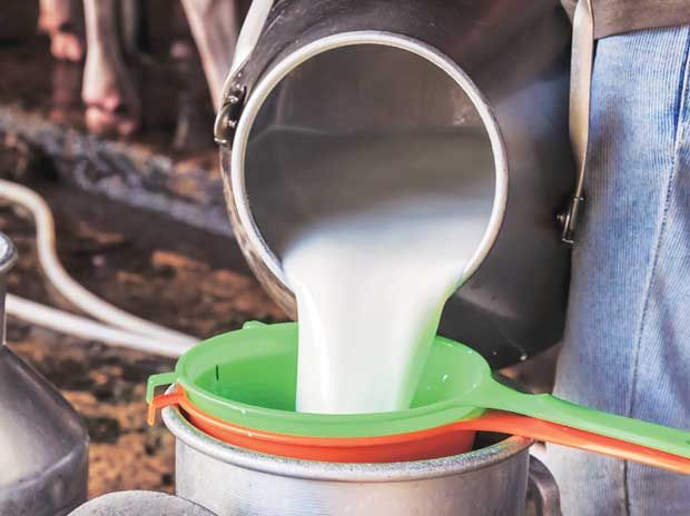 There are 1749 co-operative dairy societies in Amravati are in liquidity | अमरावती विभागातील १७४९ सहकारी दुग्ध संस्था अवसायनात
