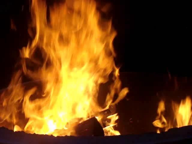 Attempts to burn by petrol, Events in Wardha district | प्राध्यापिकेला पेट्रोल टाकून जाळण्याचा प्रयत्न ; वर्धा जिल्ह्यातील घटना