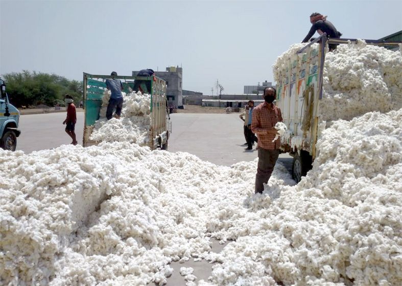 Buy quality cotton at rock bottom prices | दर्जेदार कापसाची कवडीमोल भावात खरेदी