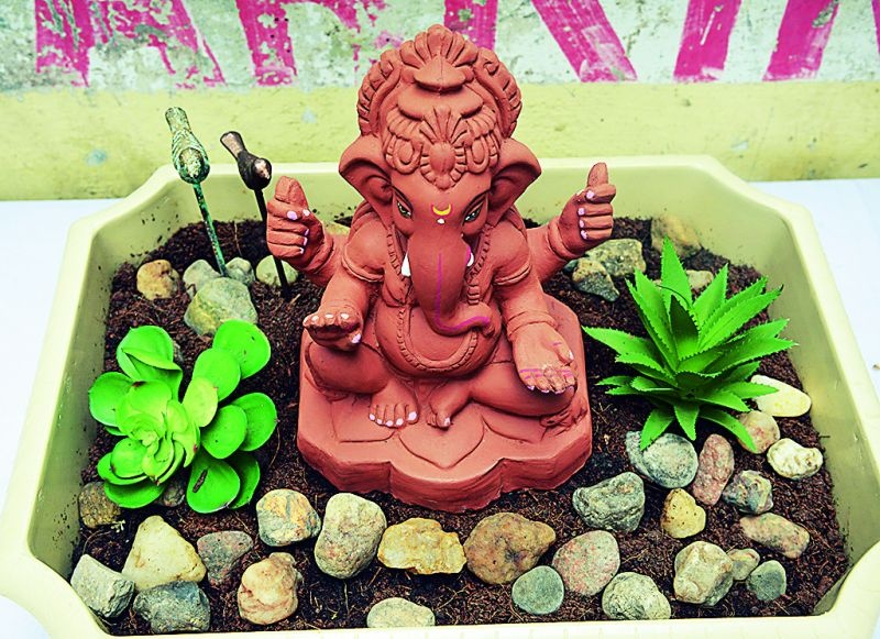 Just different! After the immersion of Ganesh idol there was a seedling plant | जरा हटके! गणेशमूर्तीच्या विसर्जनानंतर तेथेच अंकुरेल रोपटे