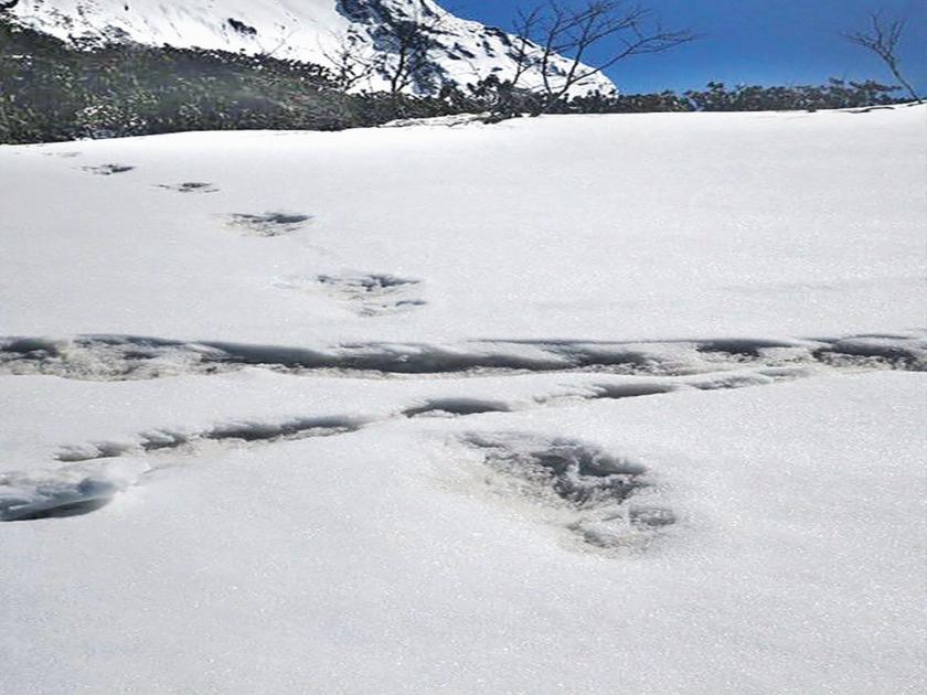 Army claims to have found the secret of a mysterious snowman | रहस्यमयी हिममानवाच्या पाऊलखुणा आढळल्याचा लष्कराचा दावा