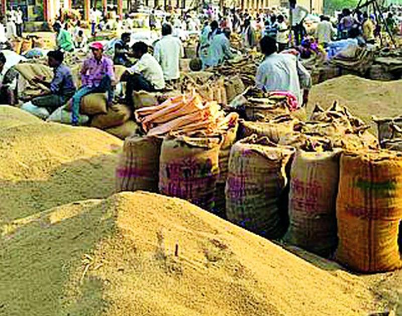 Government grain procurement in the district starts from today | शासकीय धान खरेदीला जिल्ह्यात आजपासून प्रारंभ
