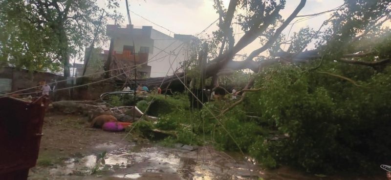 Damage due to pre-monsoon rains in Buldana district; The survey has begun | बुलडाणा जिल्ह्यात मान्सूनपूर्व पावसामुळे नुकसान; सर्वेक्षणास झाला प्रारंभ