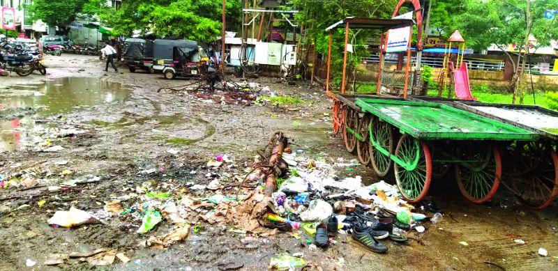 Buldhana city threatens health of citizens due to dirt | बुलडाणा शहरात घाणीमुळे नागरिकांचे आरोग्य धोक्यात