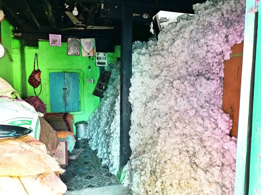 The farmers of Nagpur district stored thousands of quintals of cotton in the house | नागपूर जिल्ह्यातील शेतकऱ्यांनी हजारो क्विंटल कापूस घरातच साठवला