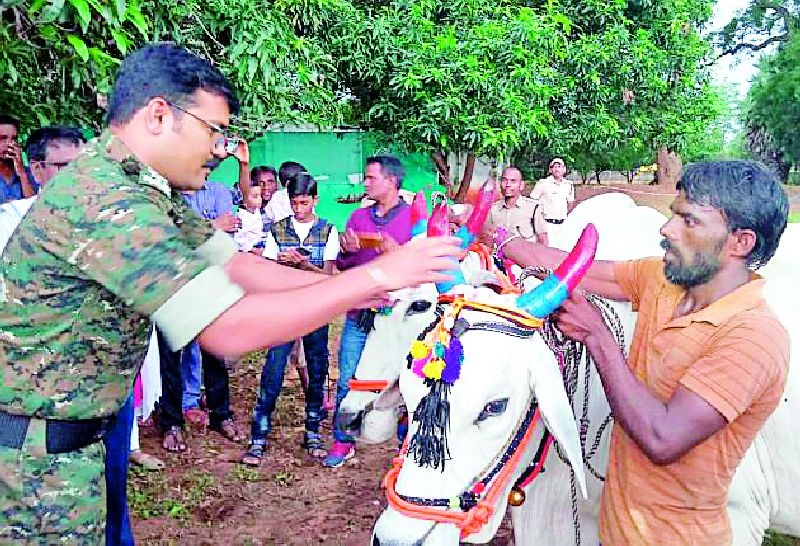 Police officers were surprised to see the decoration of bulls | बैलांची सजावट बघून पोलीस अधिकारी थक्क