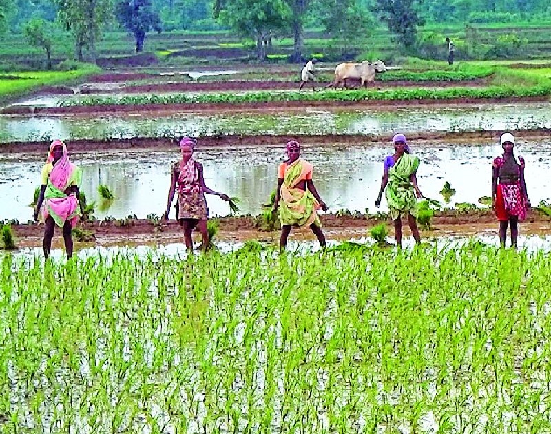 Need for change in mentality for agricultural development | कृषी विकासासाठी मानसिकतेत बदल आवश्यक