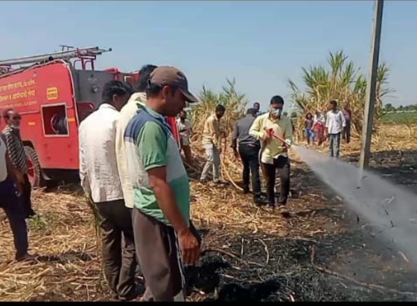 Burn one acre of sugarcane at Arai due to short circuit | शॉर्ट सर्किटमुळे आराई येथे एक एकर ऊस जळून खाक