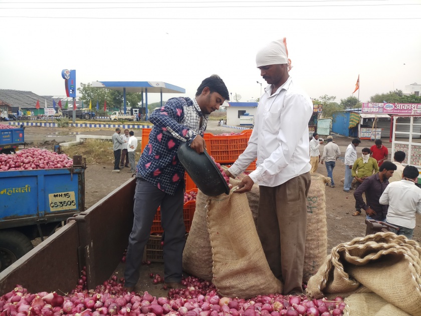 Onion prices fall 300 rupees | कांदा भावात 300 रूपयांची घसरण .कांदा उत्पादक चिंतेत